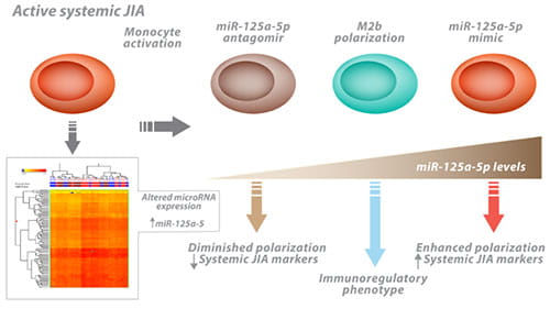 Monocyte microRNA profiling in active systemic juvenile idiopathic arthritis implicates microRNA-125a-5p in polarized monocyte phenotypes. Ref: Arthritis & Rheumatology (2016) Vol 68(9): A22.